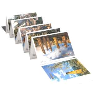 Cappadocia Panorama Postcard Set