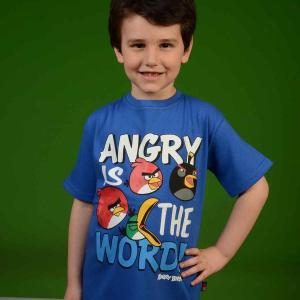 Angry Birds Boy Junior T-Shirt